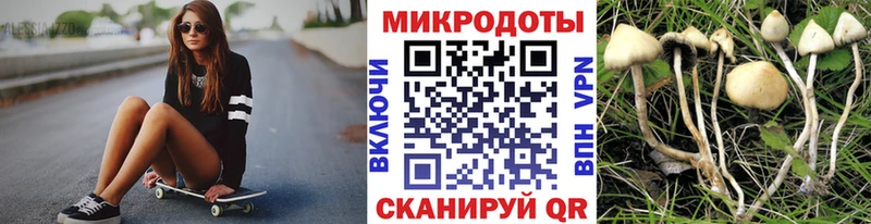 MEGA как войти  Тюмень  Галлюциногенные грибы GOLDEN TEACHER  купить  цена 